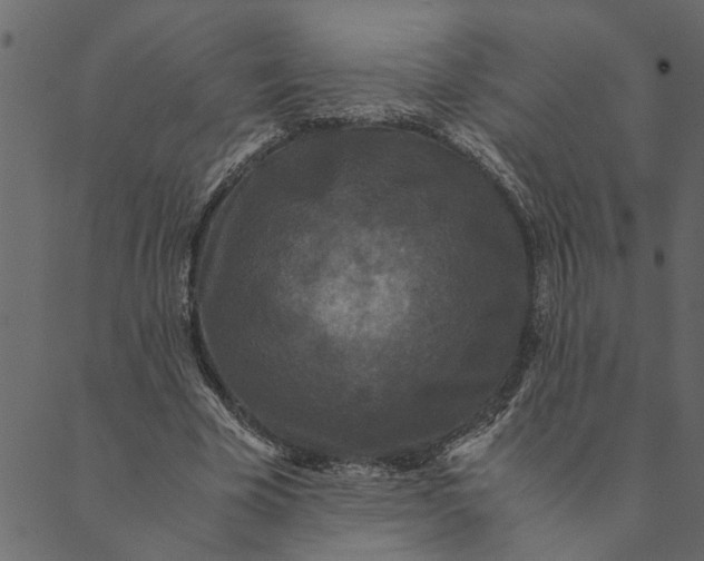 X0000089670585200707121226