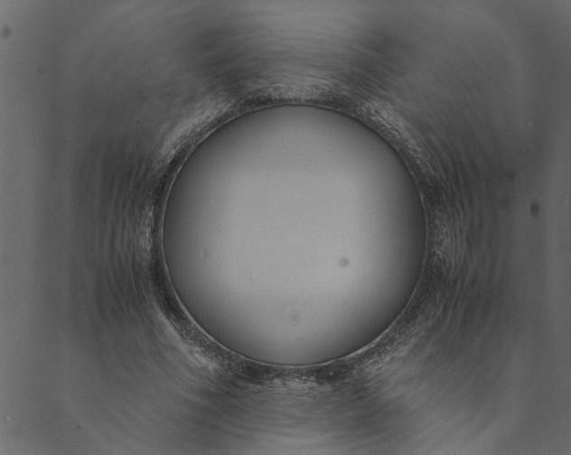 X0000089670586200707121226