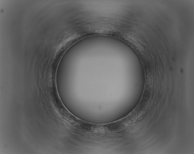 X0000089670587200707121226