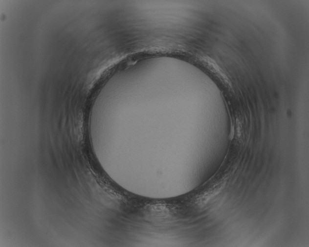 X0000089670588200707121226