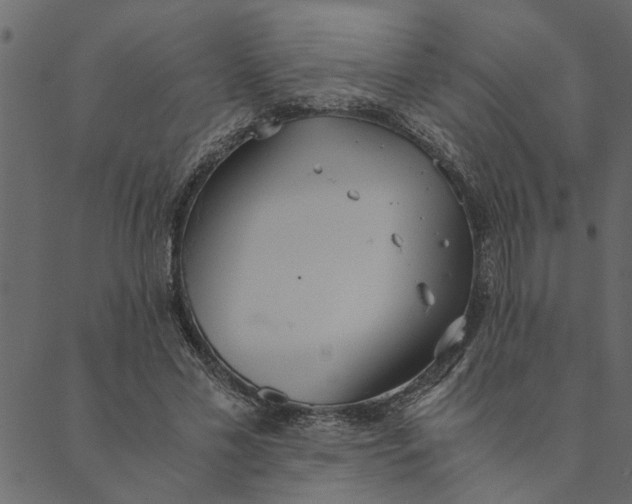 X0000089670589200707121226