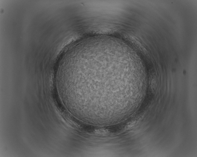 X0000089670591200707121226