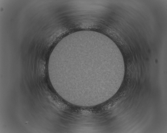 X0000089670592200707121226