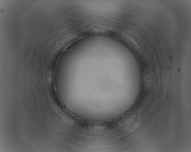 X0000089670593200707121226