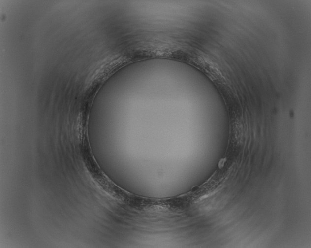 X0000089670594200707121226