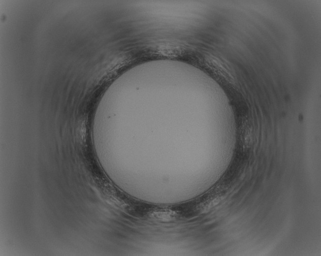 X0000089670595200707121226