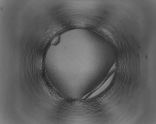 X0000089670596200707121226