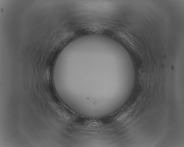 X0000089670597200707121226