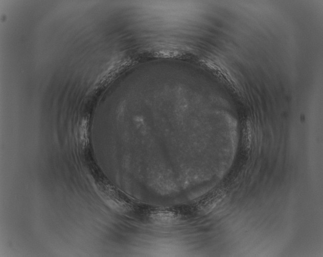 X0000089670598200707121226