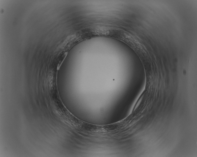 X0000089670600200707121226