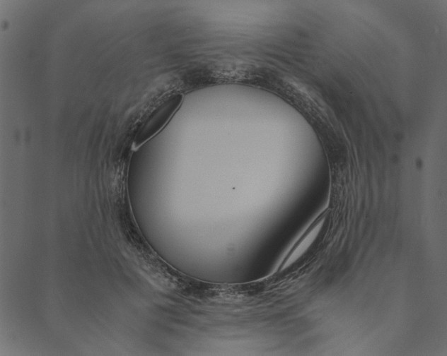 X0000089670601200707121226