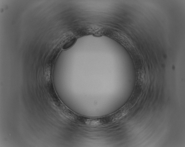 X0000089670602200707121226