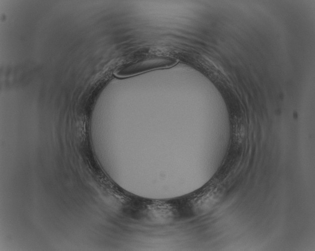 X0000089670603200707121226