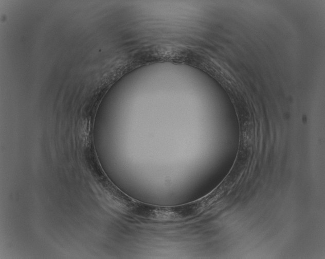 X0000089670605200707121226