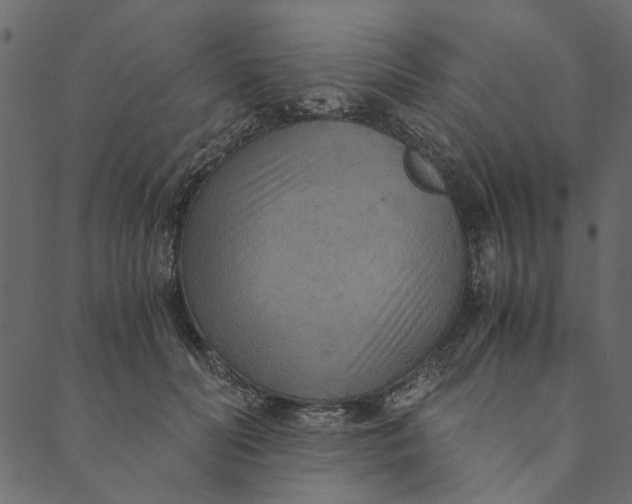 X0000089670606200707121226