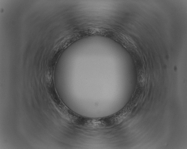 X0000089670607200707121226