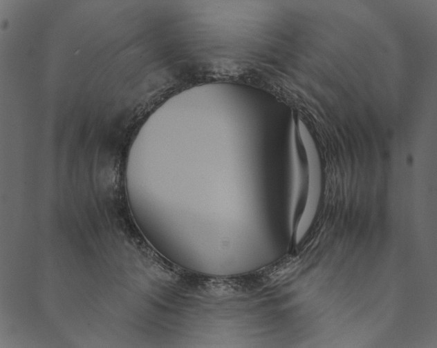 X0000089670608200707121226