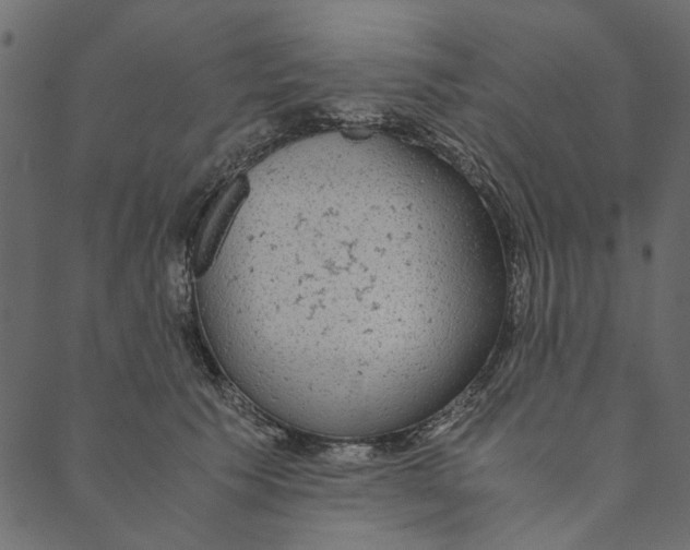 X0000089670609200707121226