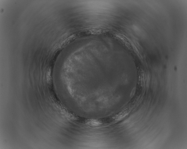 X0000089670610200707121225