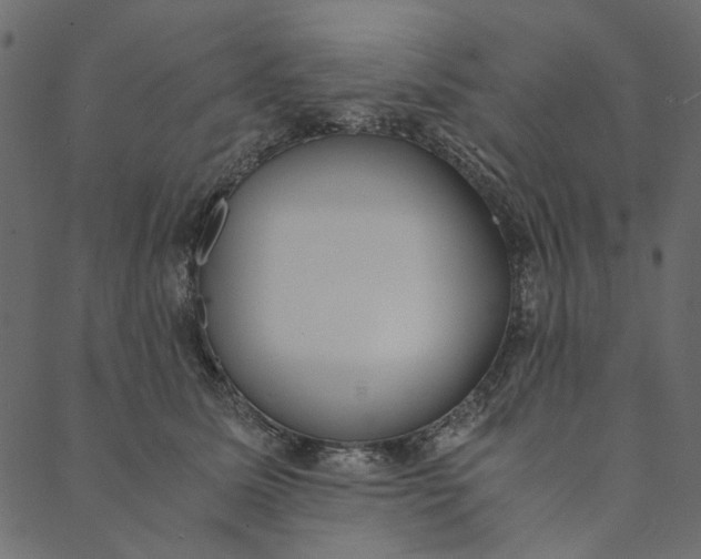 X0000089670611200707121225