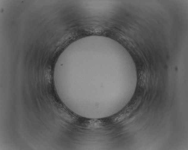 X0000089670612200707121225