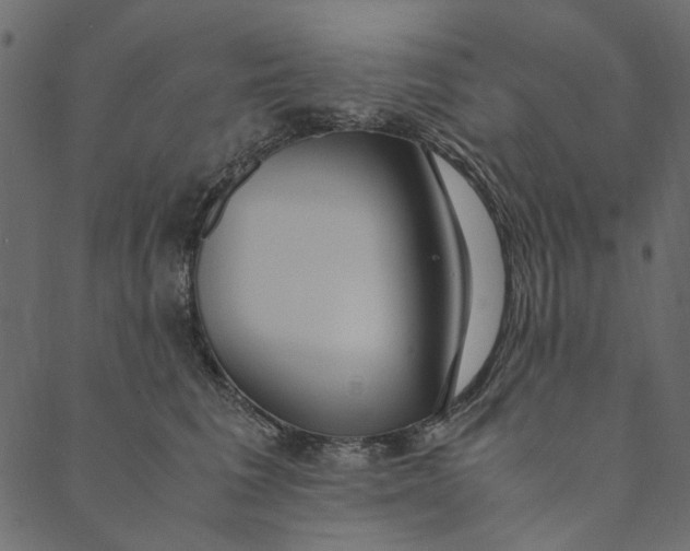 X0000089670613200707121225