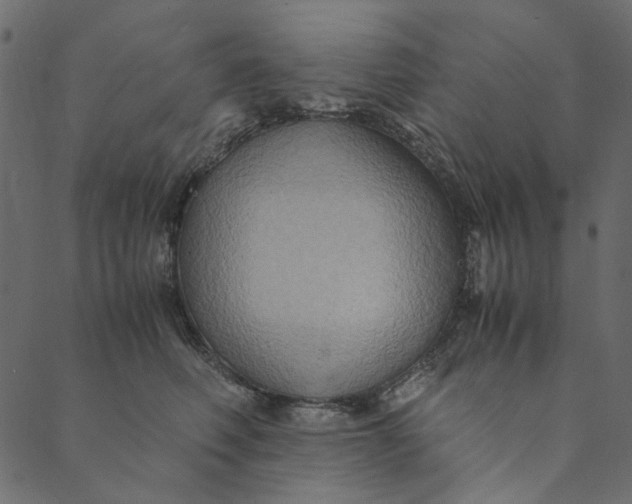 X0000089670614200707121225