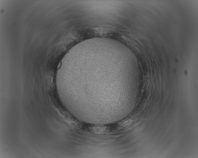 X0000089670615200707121225