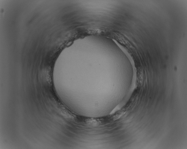 X0000089670616200707121225