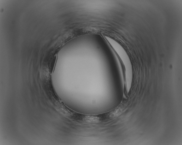 X0000089670617200707121225