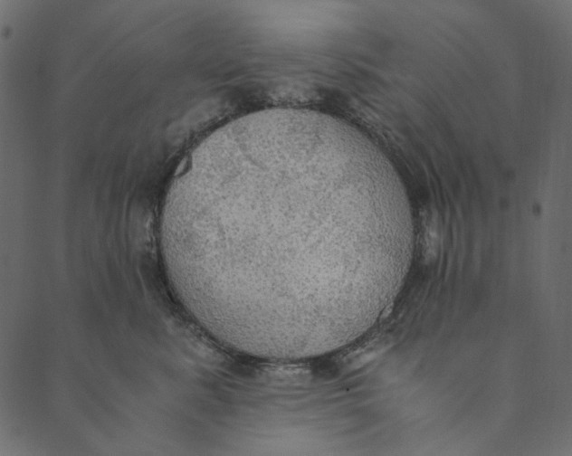 X0000089670619200707121225