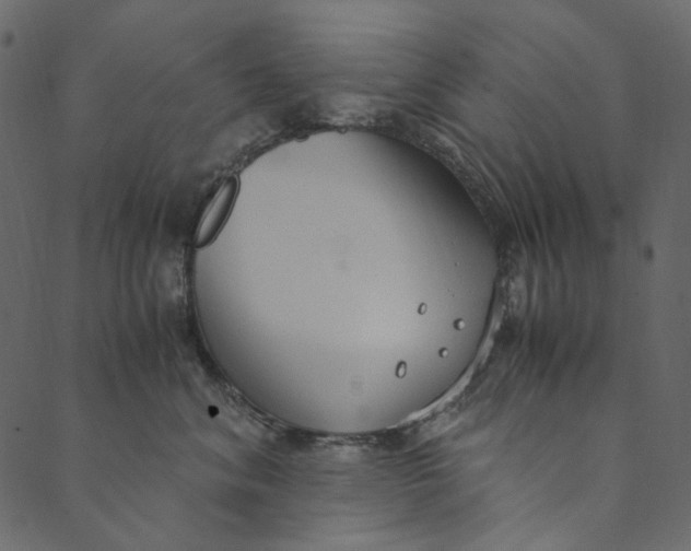 X0000089670620200707121225