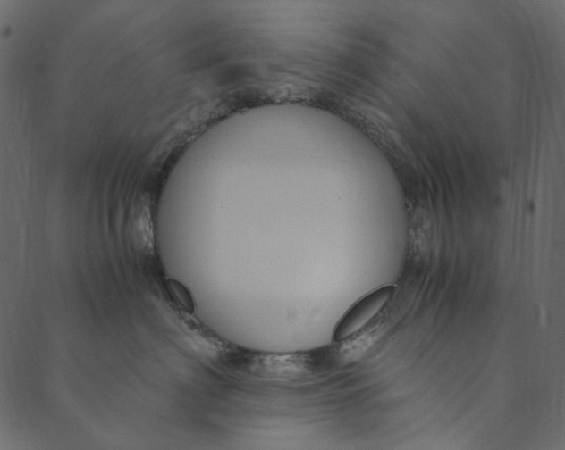 X0000089670622200707121225