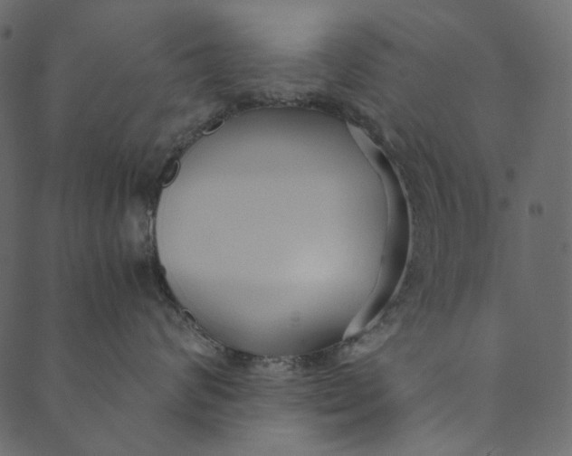 X0000089670624200707121225