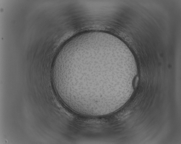 X0000089670625200707121224