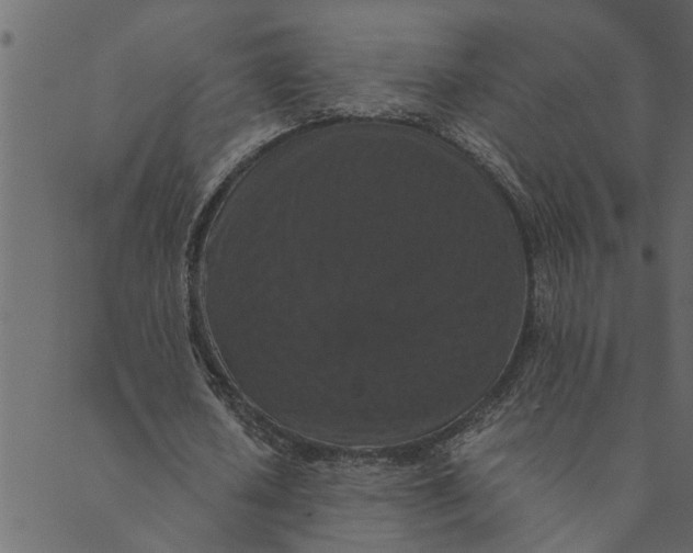 X0000089670626200707121225