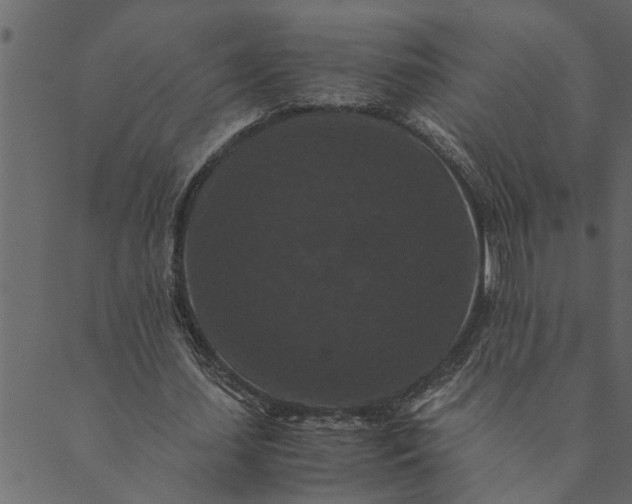 X0000089670627200707121225