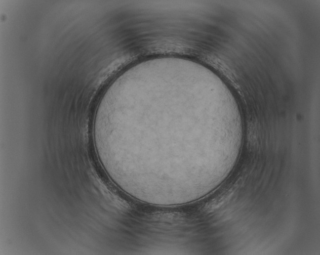 X0000089670629200707121225