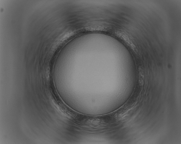 X0000089670631200707121225