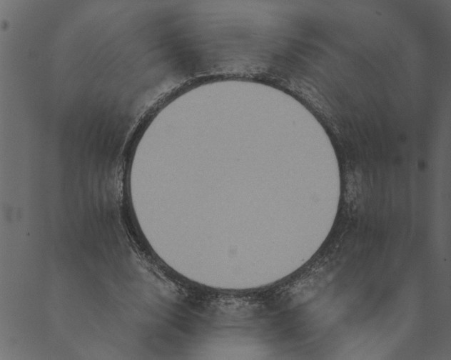 X0000089670632200707121225