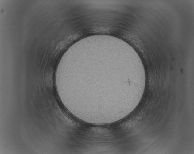 X0000089670633200707121225