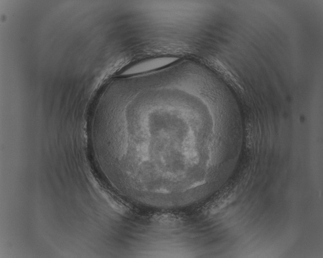 X0000089670634200707121225