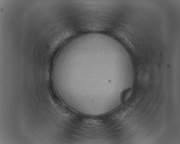 X0000089670635200707121225