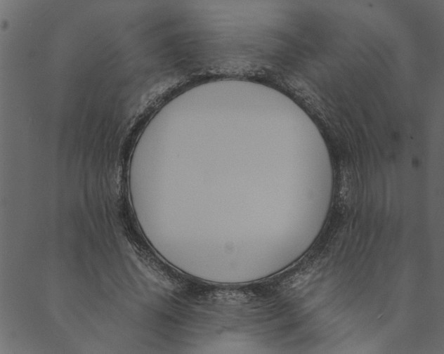 X0000089670636200707121225