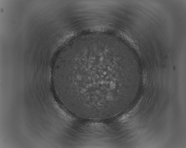 X0000089670637200707121225