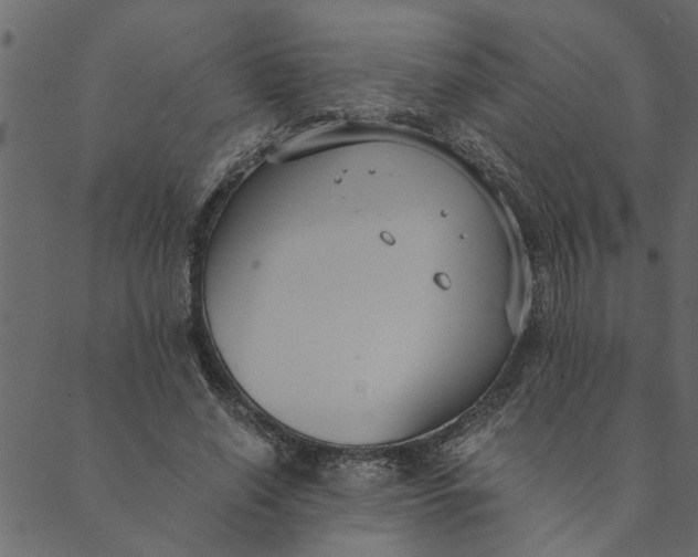 X0000089670638200707121225