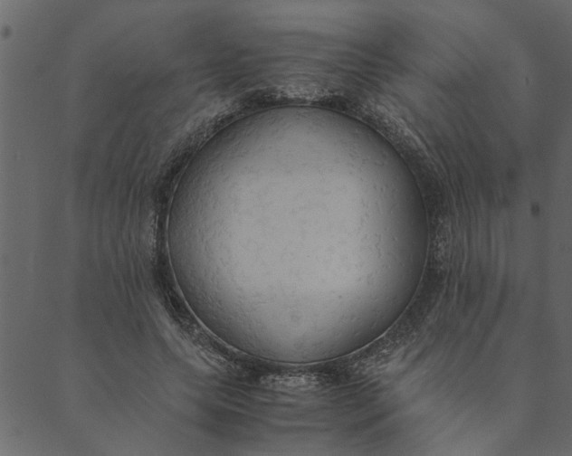 X0000089670639200707121225