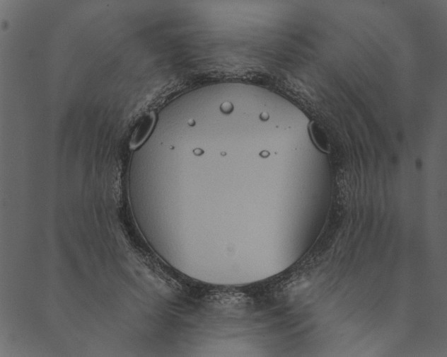 X0000089670642200707121225