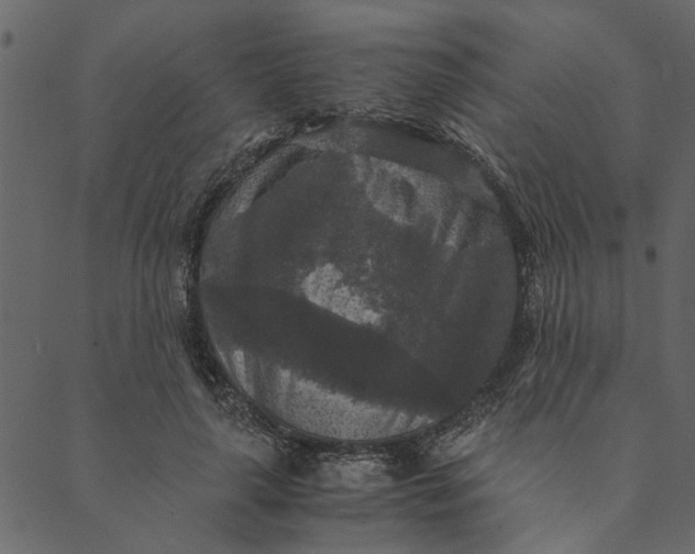 X0000089670643200707121225