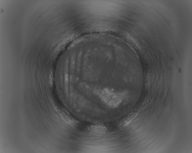 X0000089670644200707121225